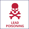 Lead Paint Poisoning